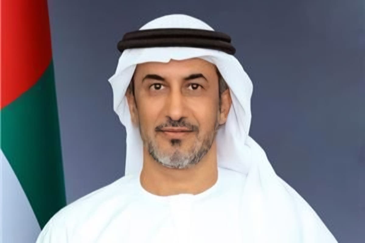 UAE minister calls for halting attempts to disrupt commercial shipping in Hormuz