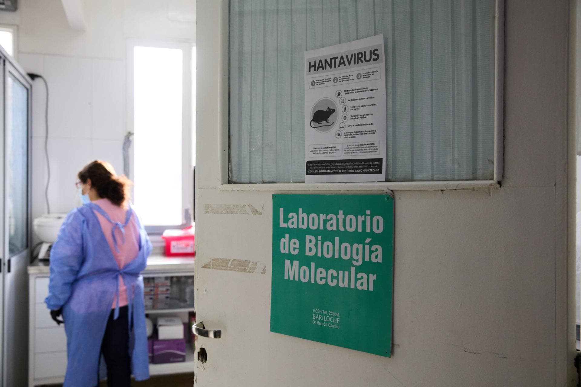 WHO says 11 total hantavirus cases reported from cruise ship