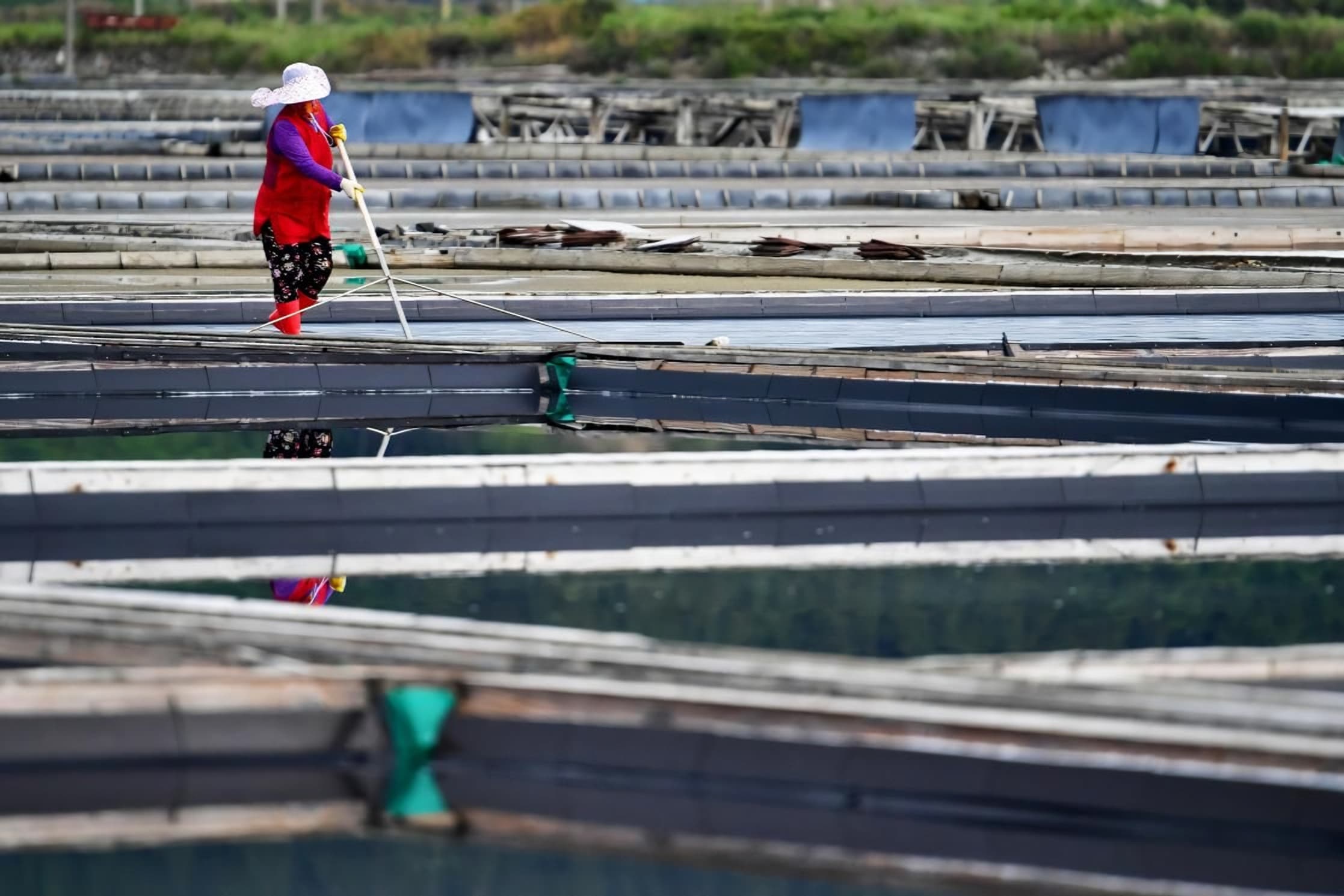 Gov’t ramps up crackdown on ‘salt farm slavery’