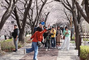 From luggage-friendly buses to airport links, Korea smooths travel beyond Seoul