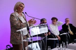 French hantavirus patient is critically ill