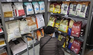 Seoul provides subsidy for pregnant women, including foreigners