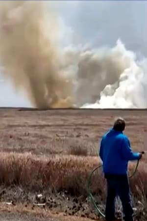 4 crew members eject safely after two Navy jets collide during air show in Idaho